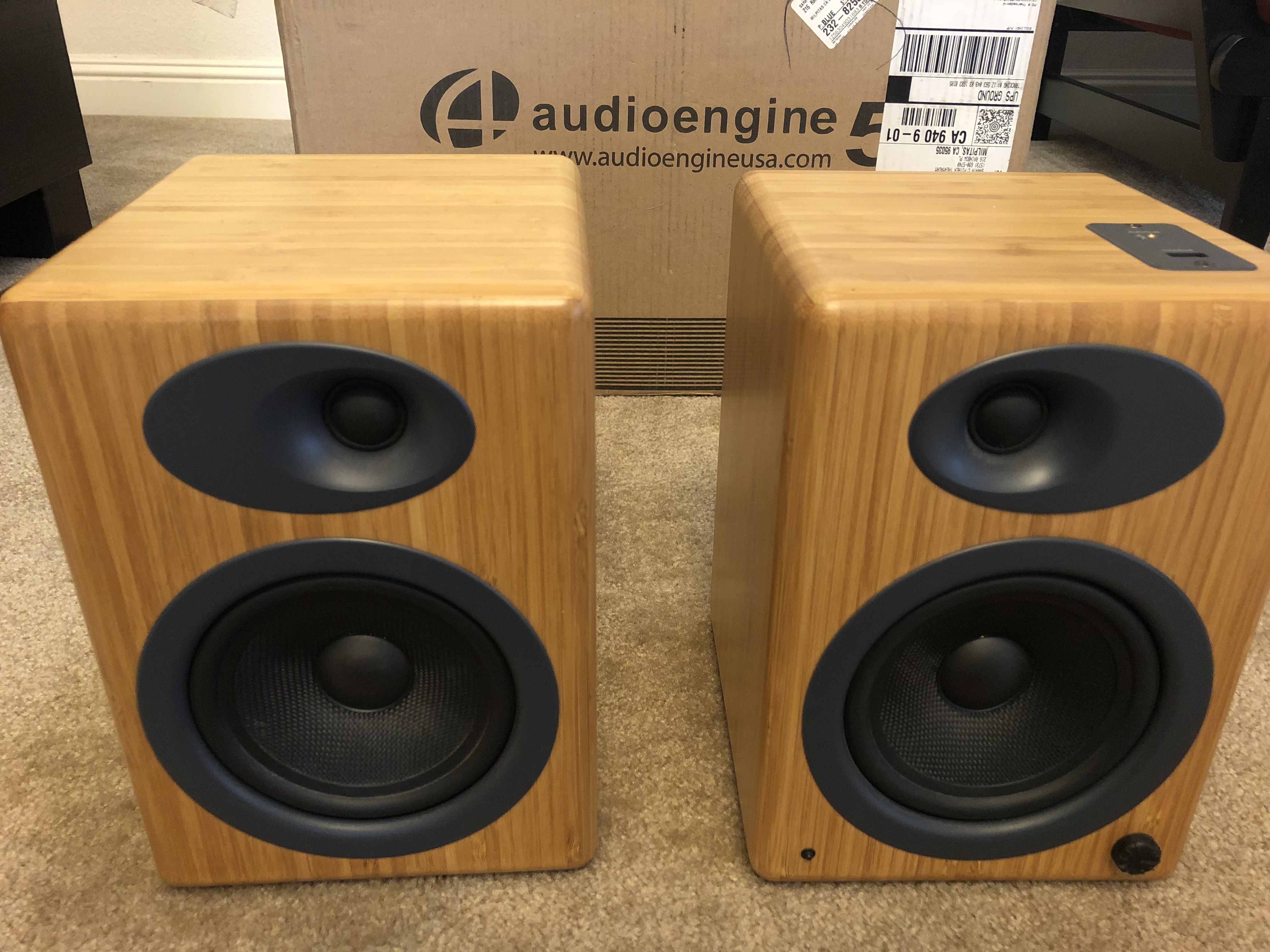 audioengine a5 bamboo