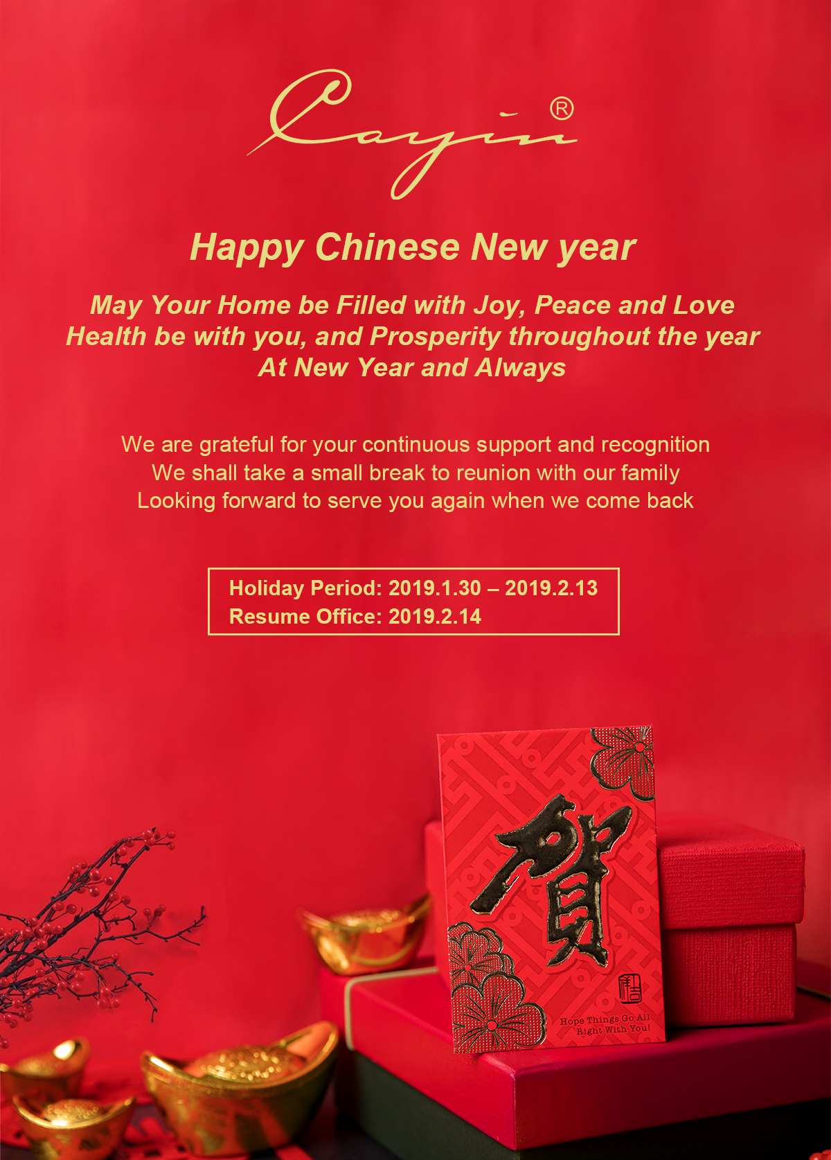 Chinese New year 2019.jpg