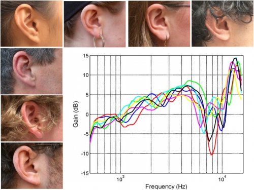 The-right-ears-of-seven-subjects-together-with-their-associated-head-related-transfer.jpg