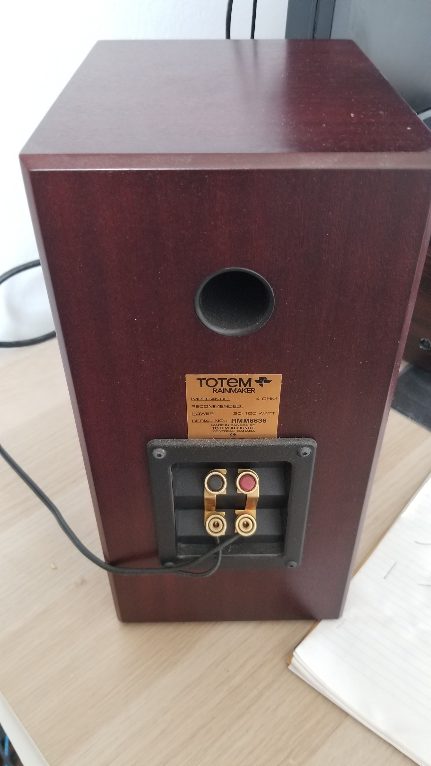 totem rainmaker for sale