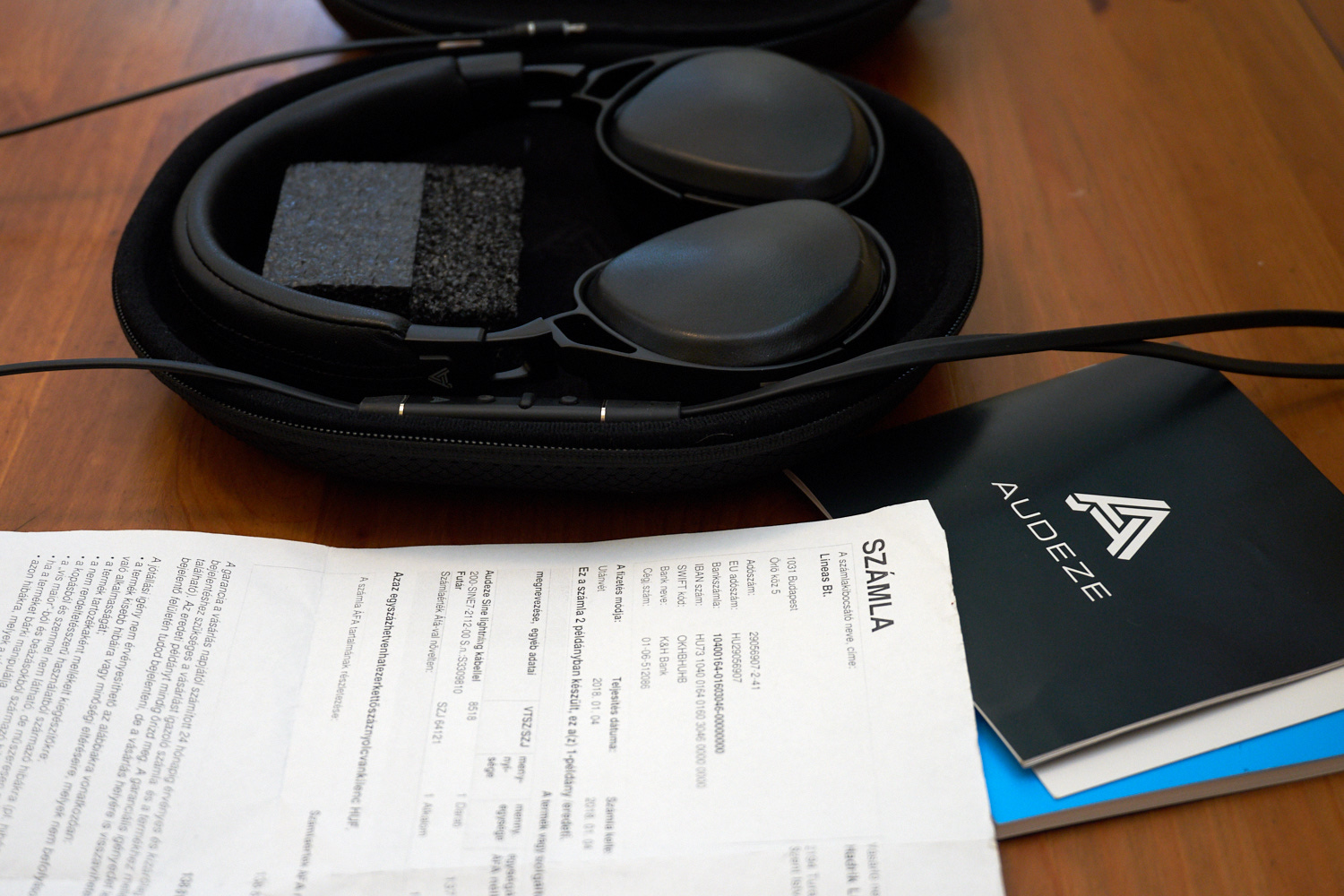 audeze mobius carry case