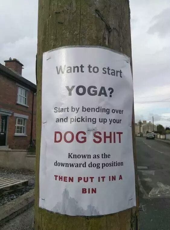 yoga.jpeg