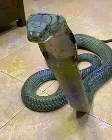 8846c9c50d9e953e19407f8a31829a01.gif