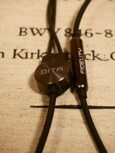 イヤホン DITA TWINS Fidelity The Twins: Fidelity – DITA Audio Japan