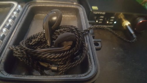 Earbud anonymous.jpeg Earbud anonymous.jpeg