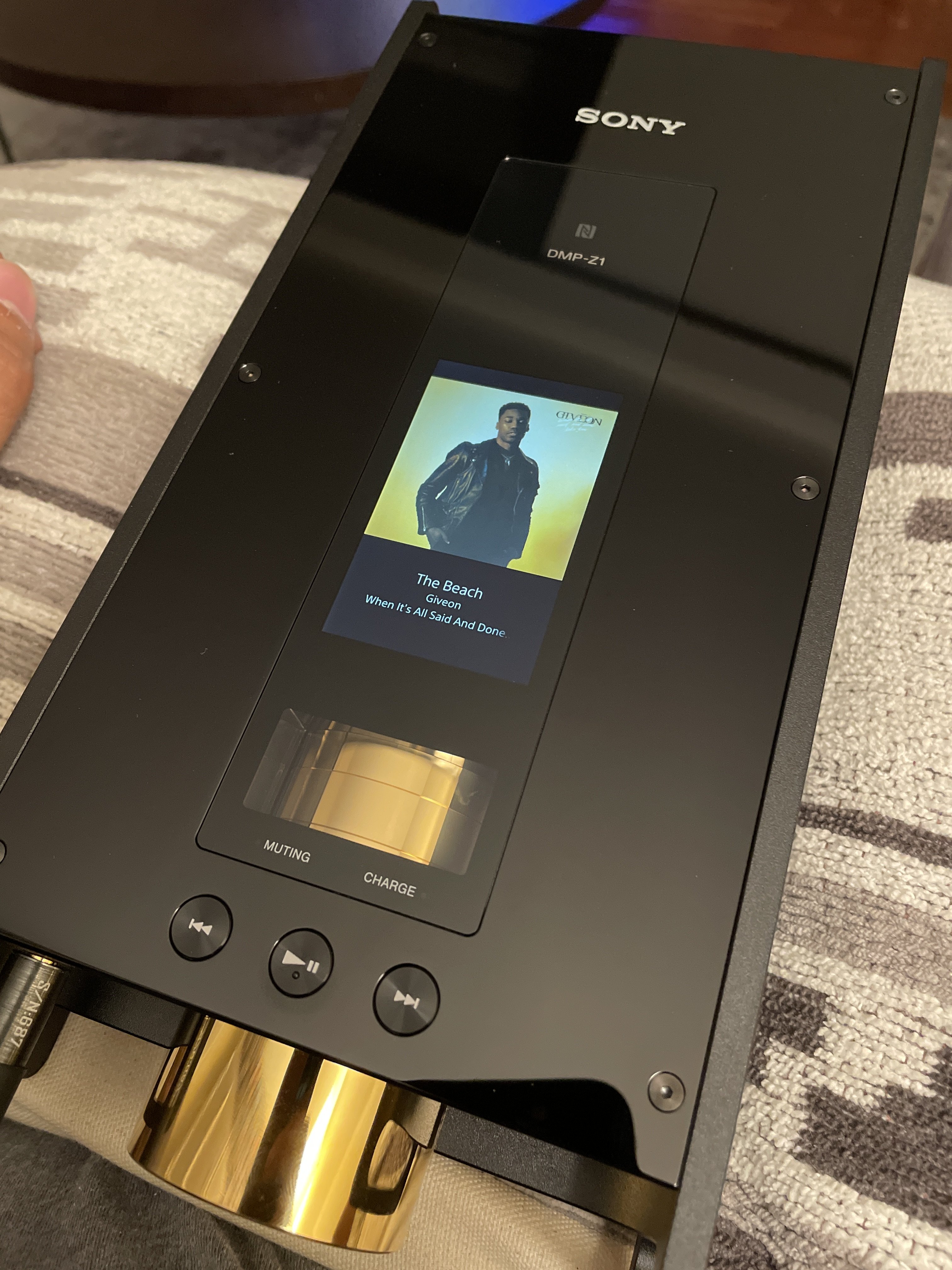 Official Sony DMPZ1 Thread Headphone Reviews and Discussion Head