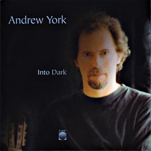 Andrew York - Andrew York _ Into Dark.jpg