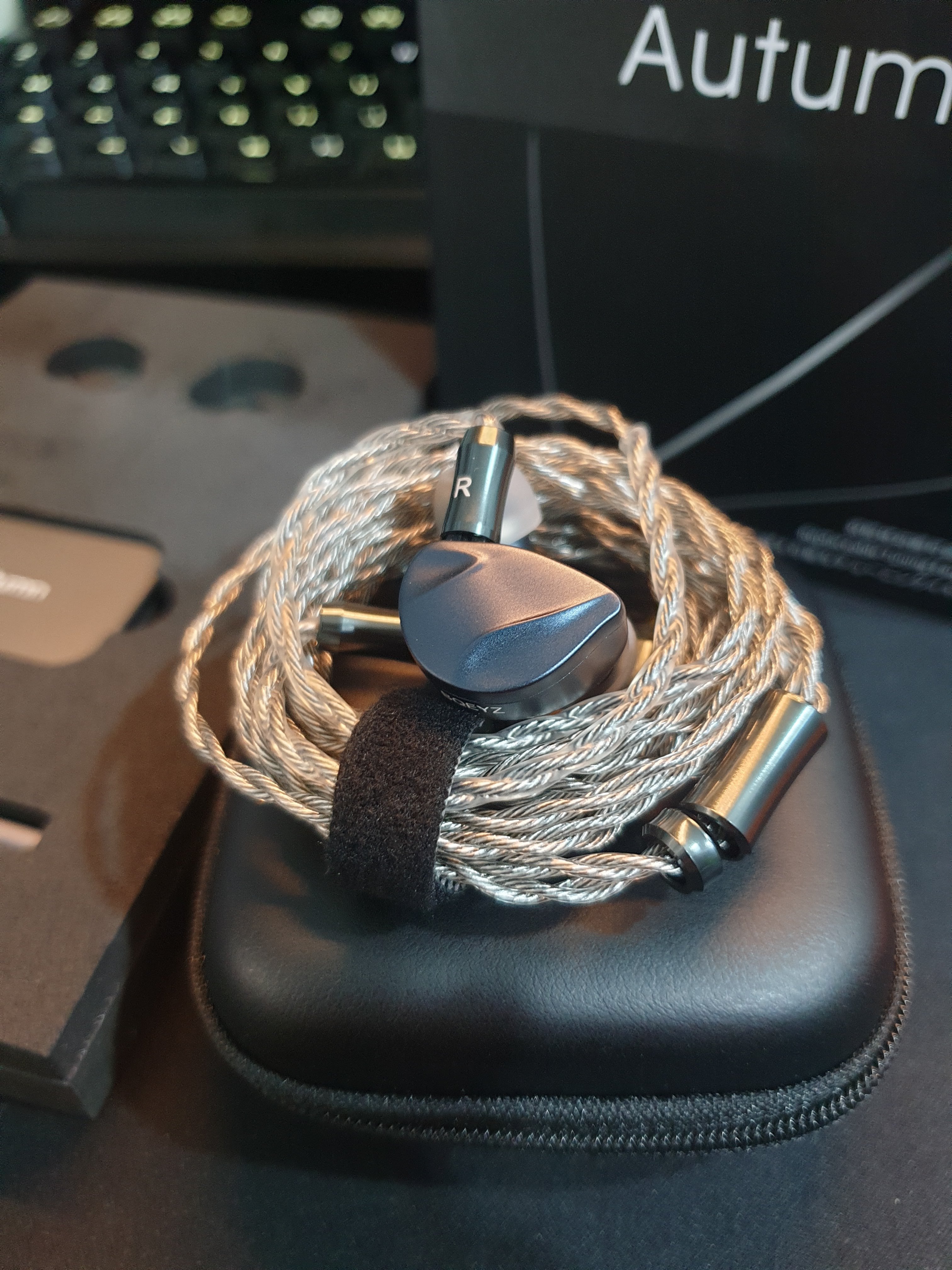 Chinese / Asian Brand IEM Info Thread Headphone Reviews and