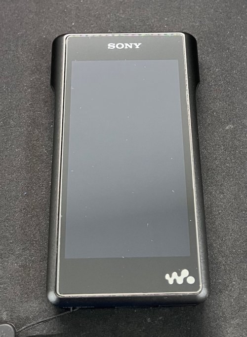 Sony WM1A