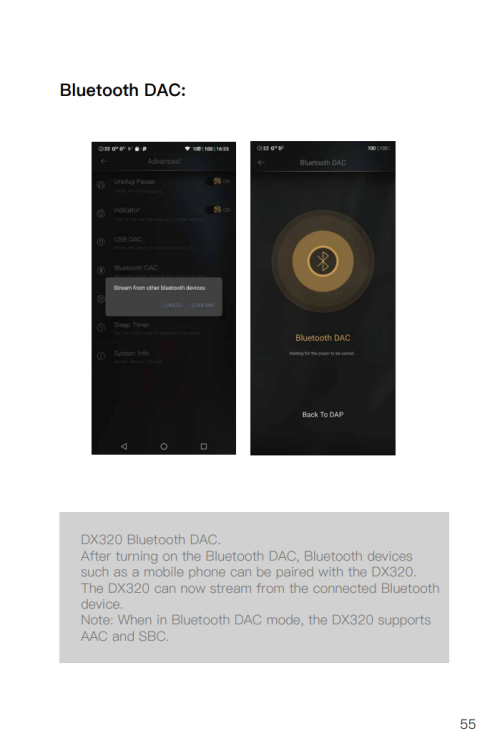 DX320ManualBTDACPage.PNG