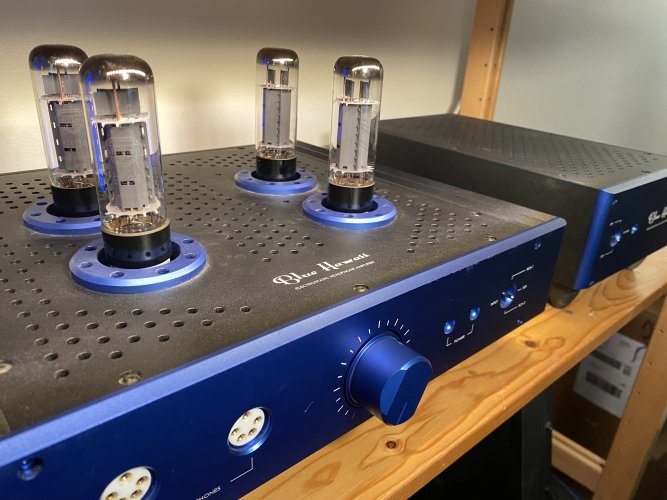 Headamp Blue Hawaii Special Edition BHSE