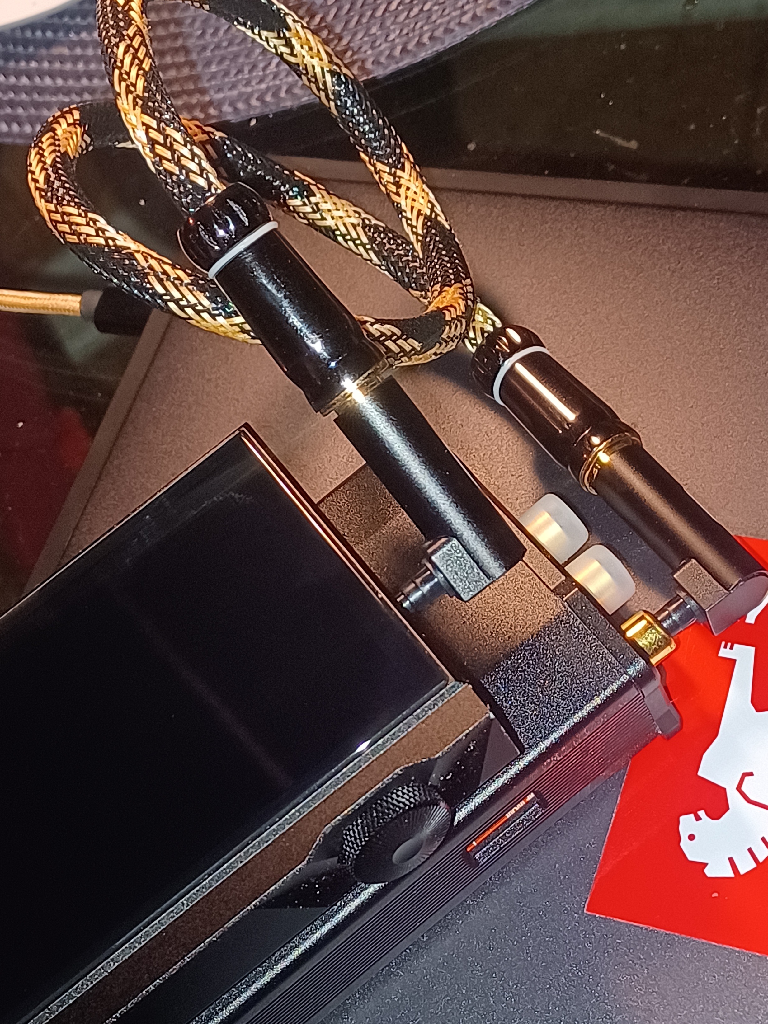 20230511_045221.jpg