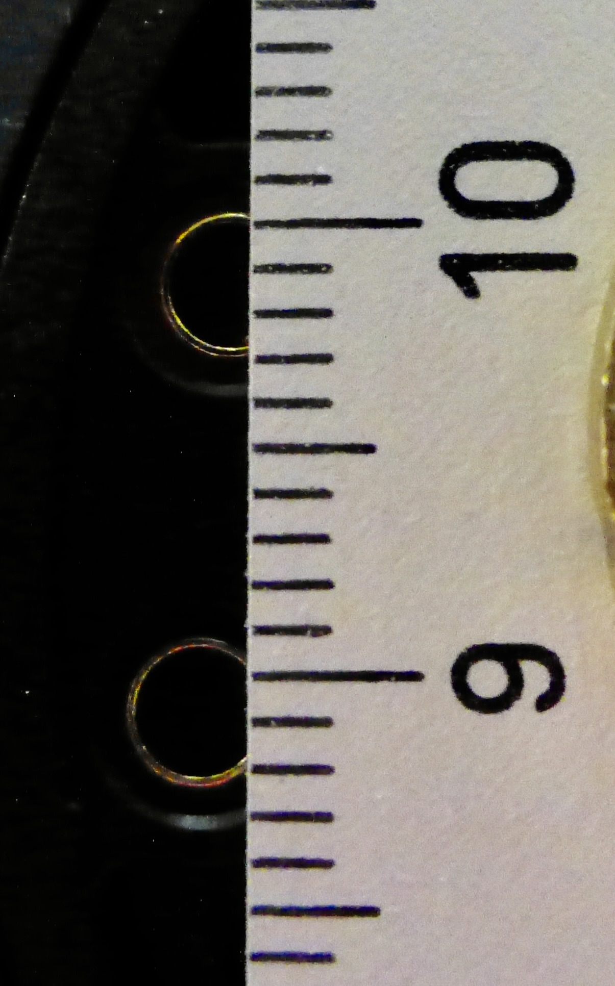 THE COMPOSER OPEN BACK FLAGSHIP by AUSTRIAN AUDIO | Page 49 | Headphone ...