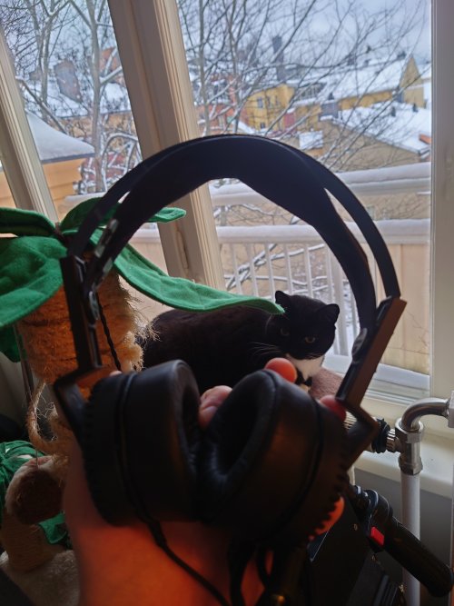 20231130_093824.JPG