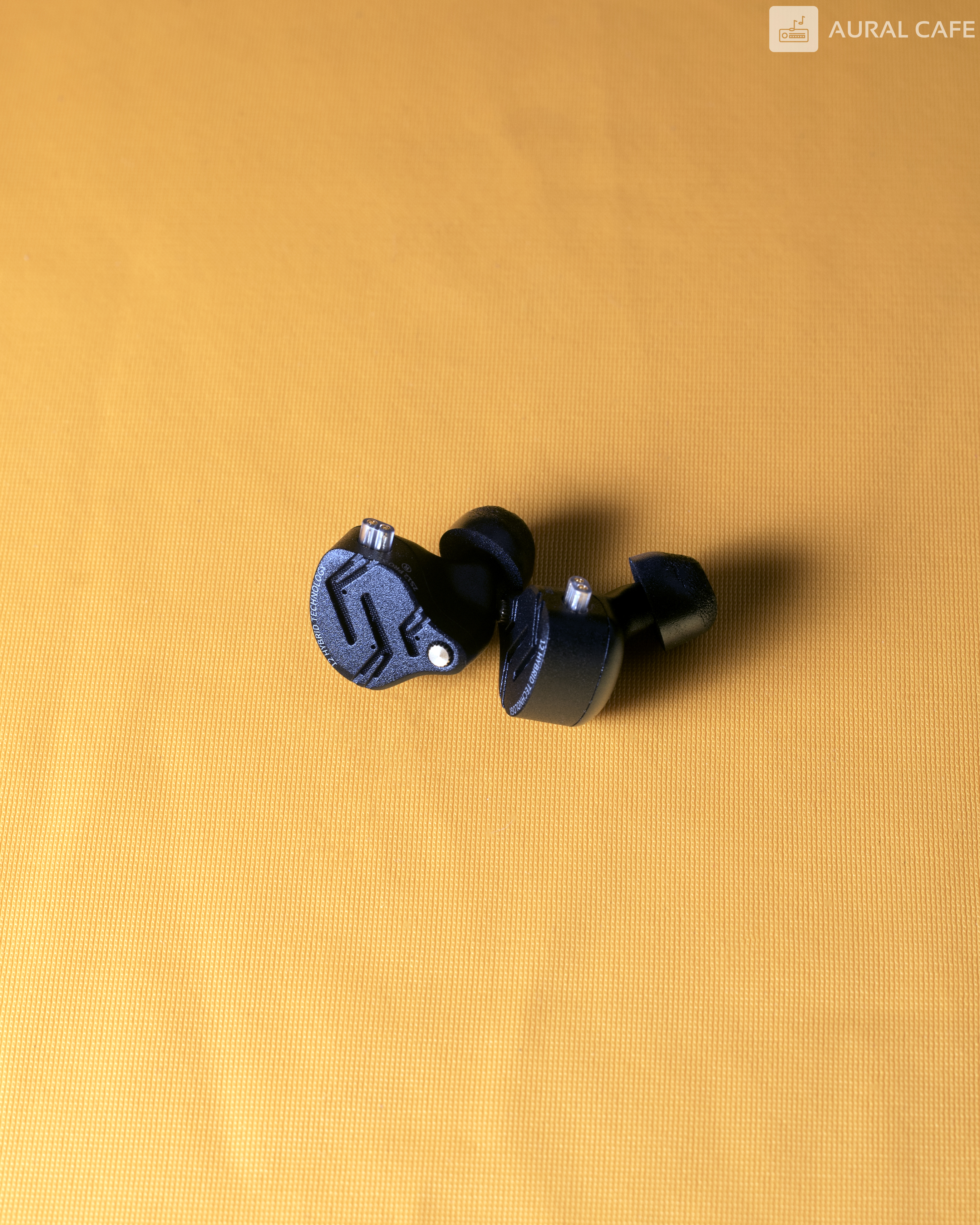 Untitled Catalog 00230.jpg