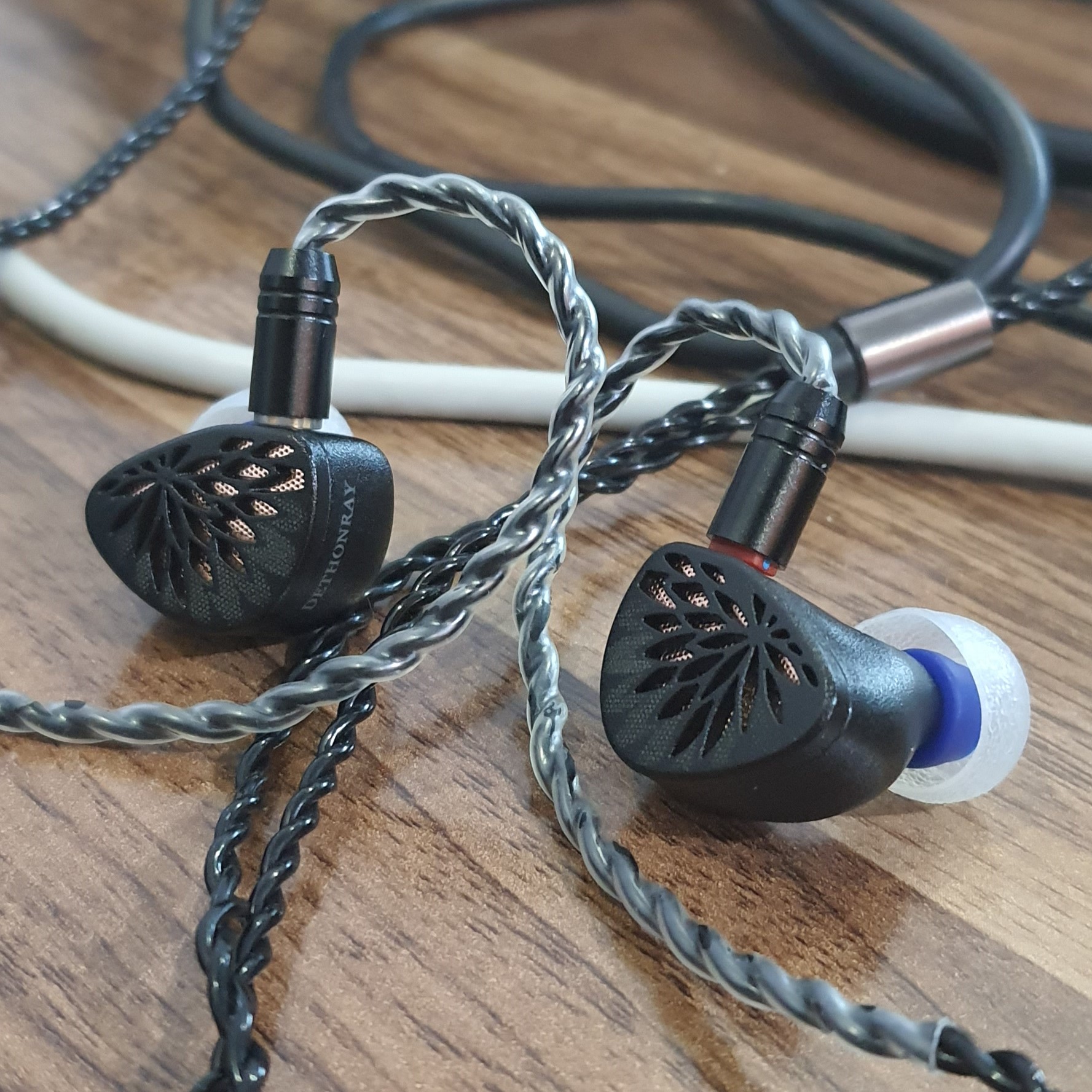 20241113_171435 cropped.jpg