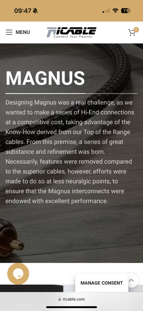 Closed: Sold externally: [Final PD] Ricable Magnus XLR 0.5m | Headphone ...