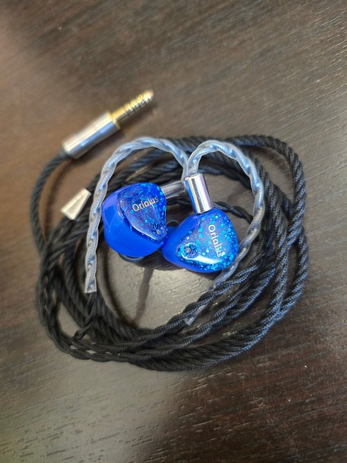 oriolus finschi hifi 青 oriolus finschi hifi 青