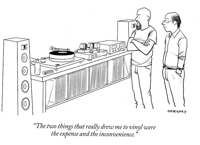 Vinyl.jpeg