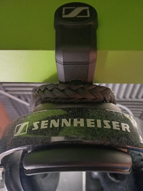 HD600 on hanger.jpg