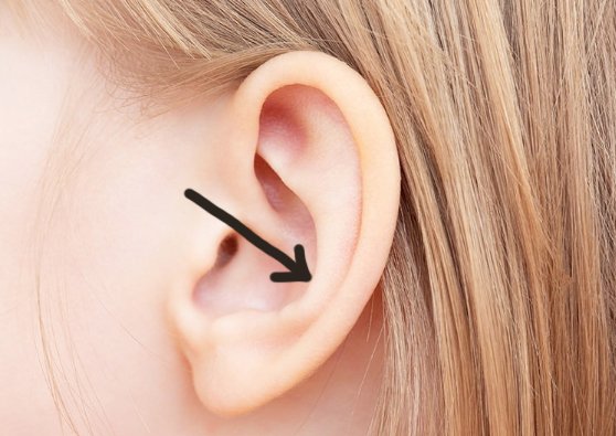 EAR copy.jpg