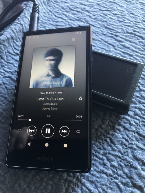 SONY NW-ZX700 | Page 123 | Headphone Reviews and Discussion