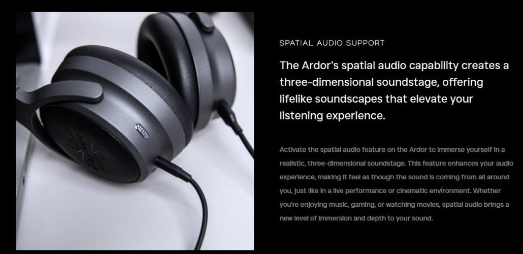 Spatial Audio Support.jpg Spatial Audio Support.jpg