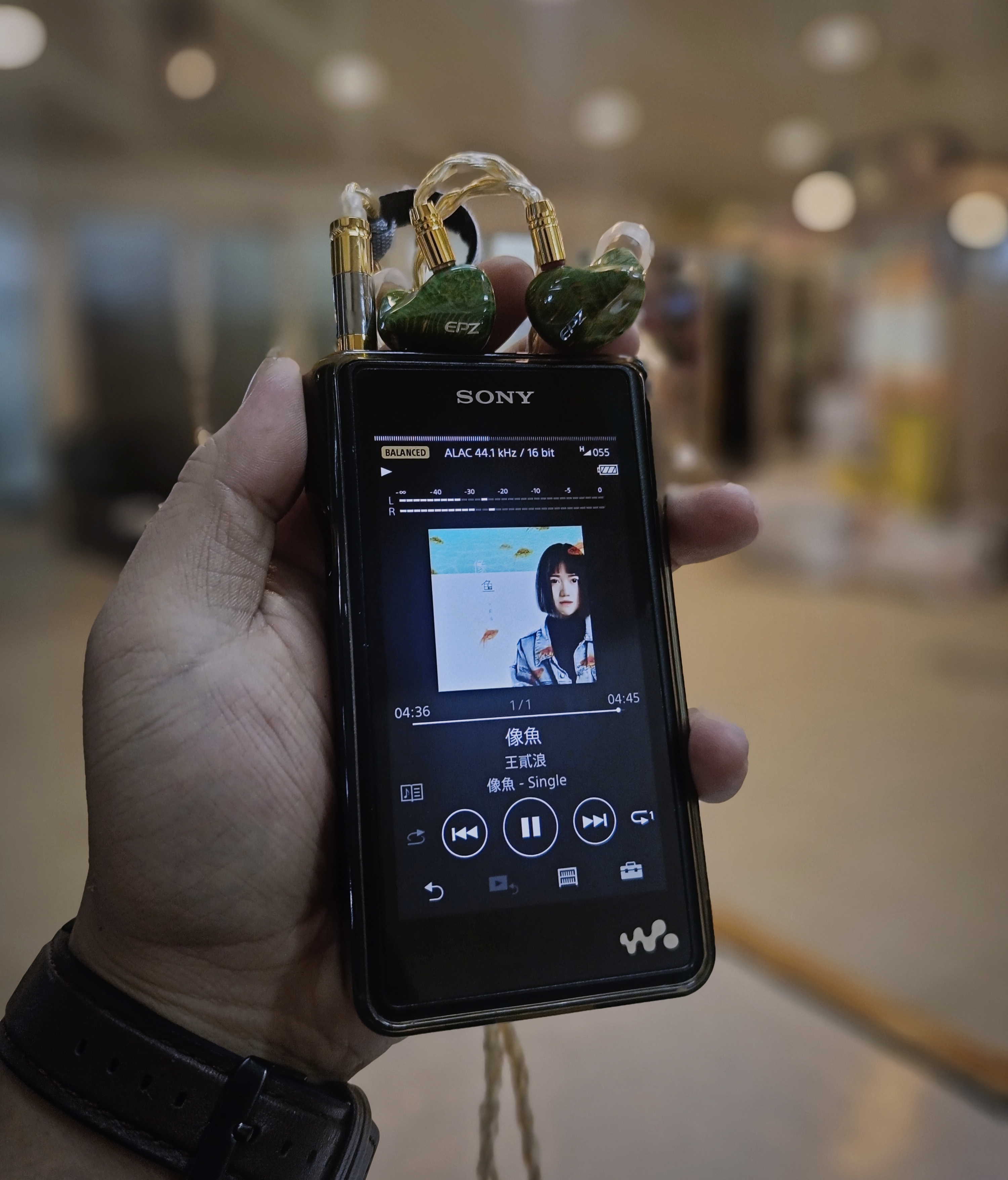 EPZ 530 - Reviews | Headphone Reviews and Discussion - Head-Fi.org