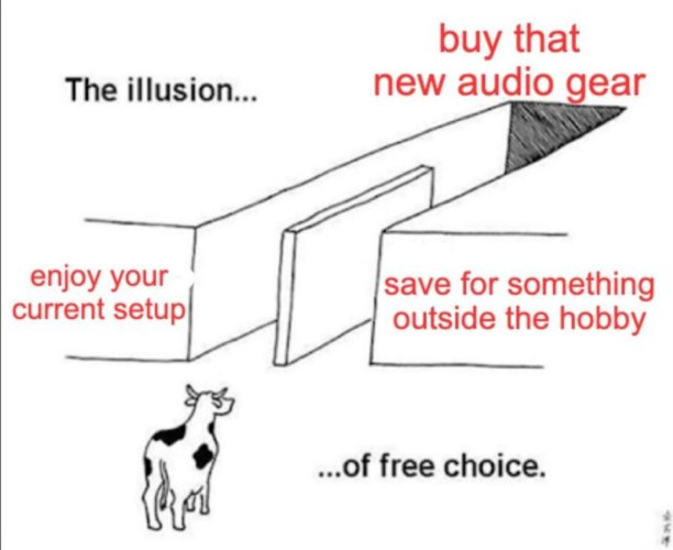Free_Will_Is_a_Lie-1100x900.jpg