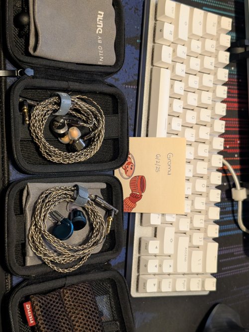 DUNU HAYABUSA (Falcon) Ultra チタニウムカラー　中古 Dunu ultra Used Price | HifiZero