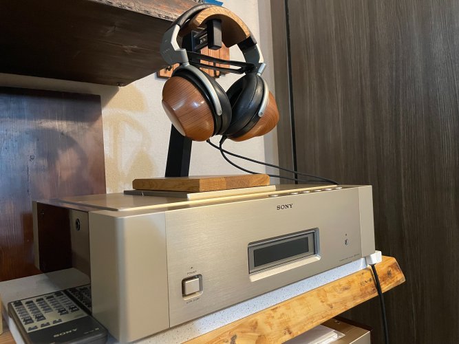 Sony R10-The Forgotten Line: Echoes of a Silent Dream | Headphone ...