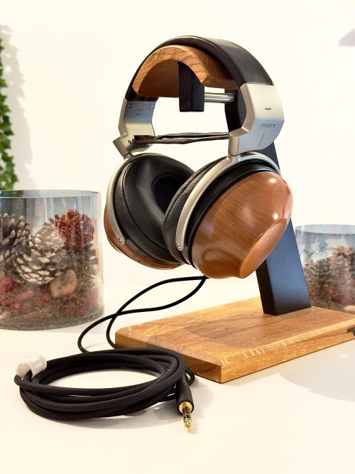 Sony R10-The Forgotten Line: Echoes of a Silent Dream | Headphone ...