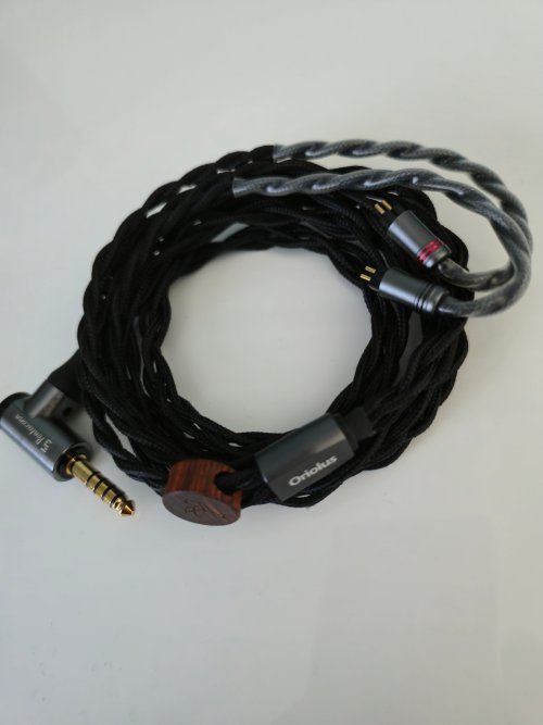 Oriolus Traillii Used Price | HifiZero