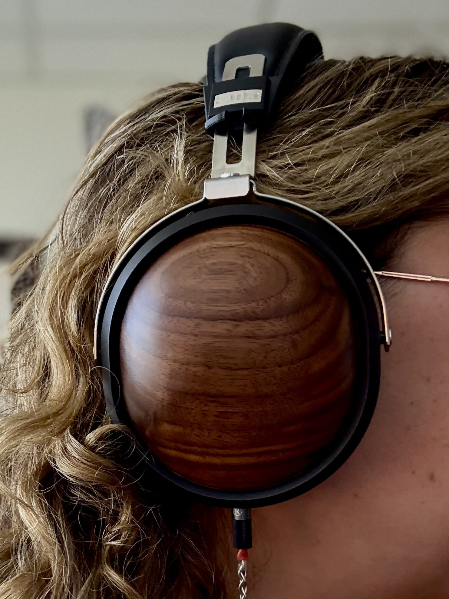 fiio FT1＆EarProfit PERFORMセット Fiio FT1 review : Top Recommendation under $200!! | The