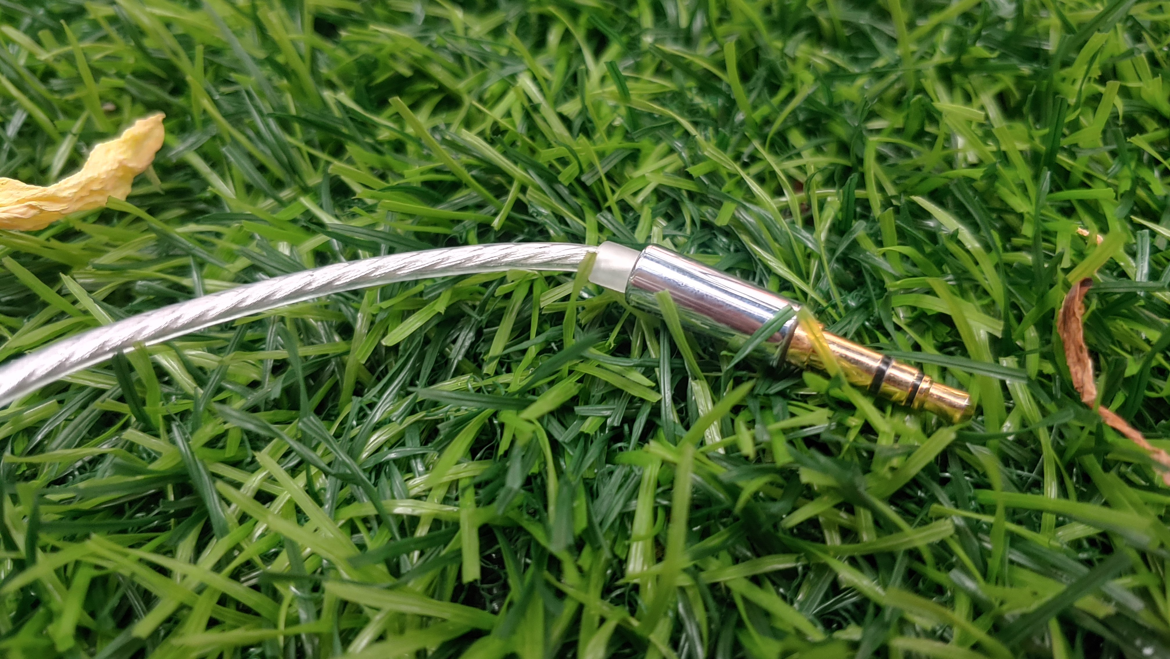 20250711_173718_HDR.jpg