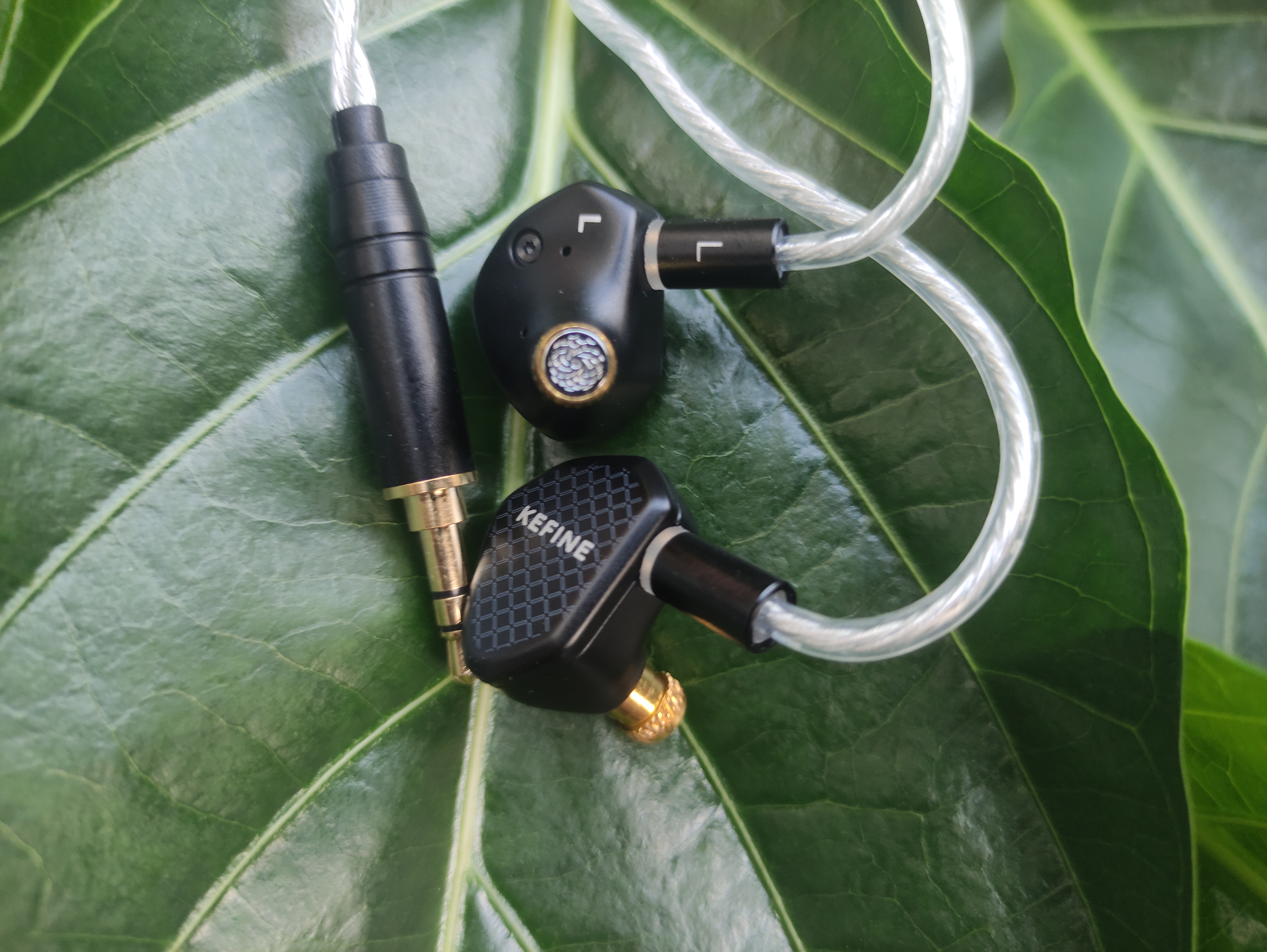 IMG_20250701_171954.jpg IMG_20250701_171954.jpg