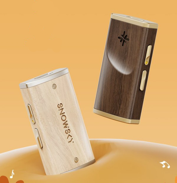 FIIO Snowsky Melody | Headphone Reviews and Discussion - Head-Fi.org