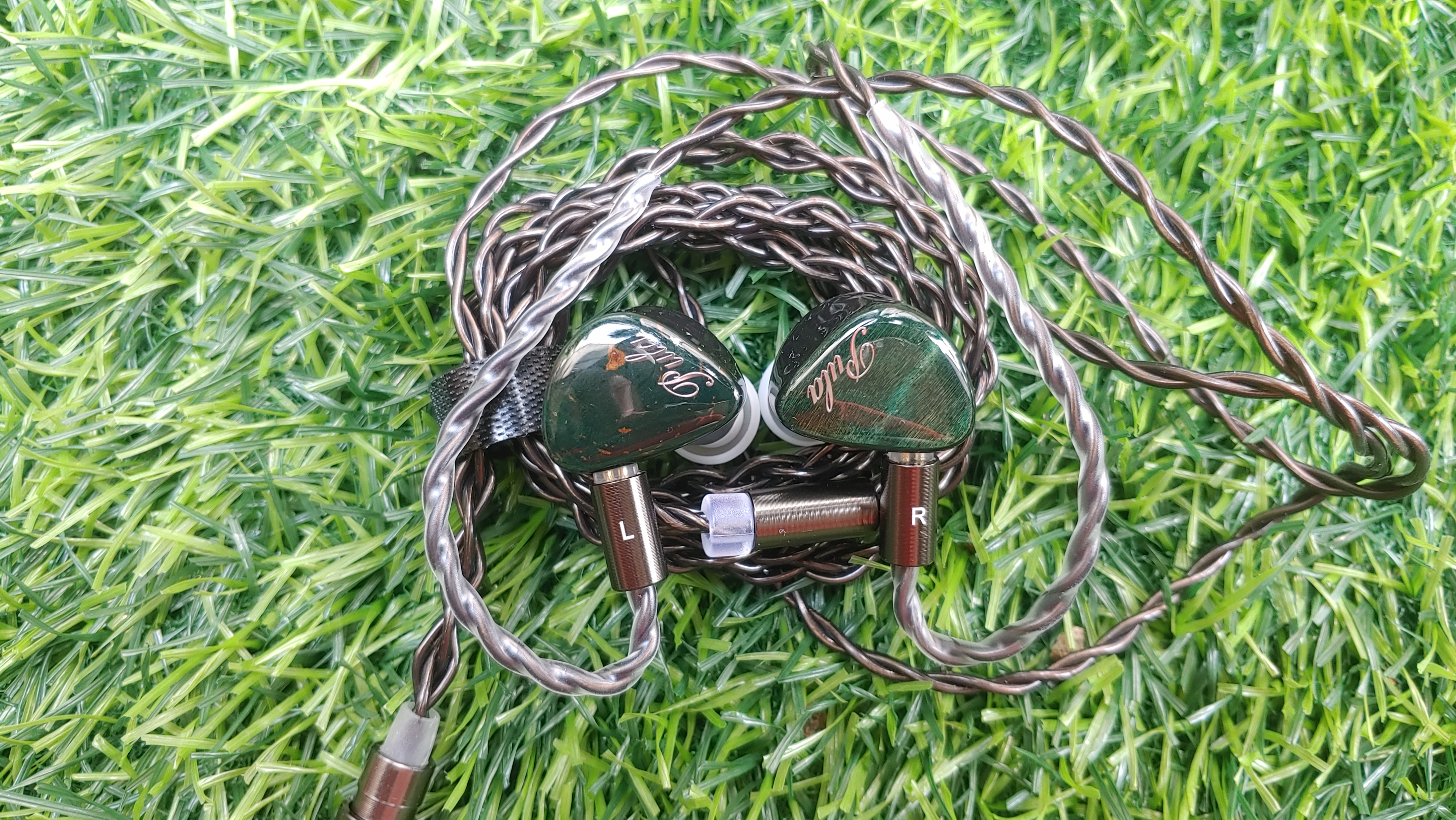 20250814_100426.jpg
