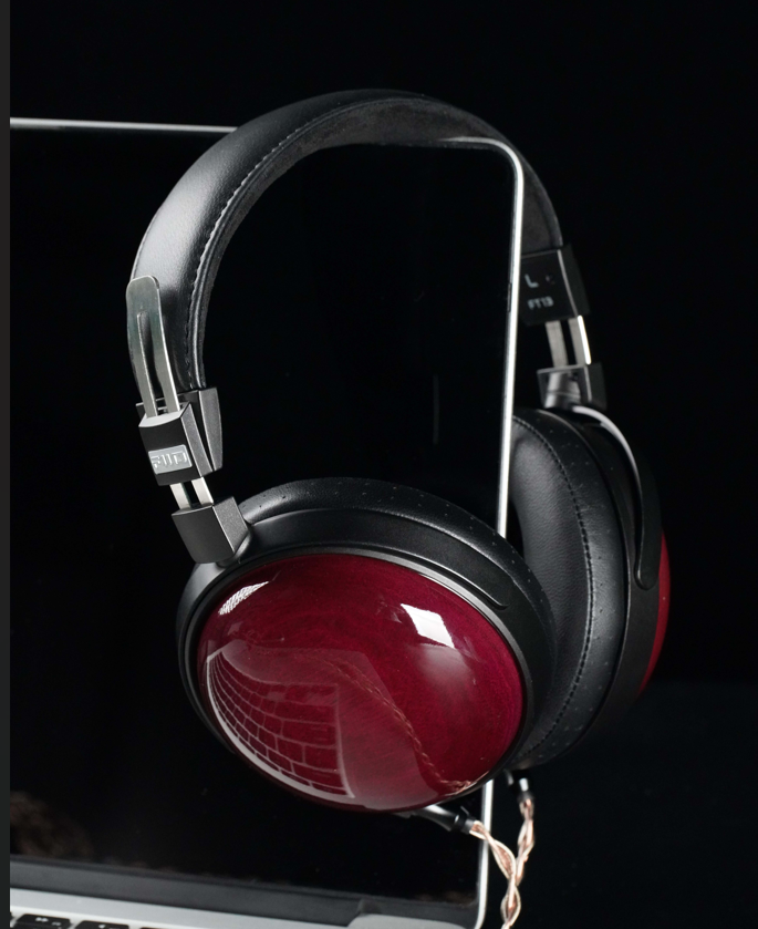 fiio FT1＆EarProfit PERFORMセット fiio FT1＆EarProfit PERFORMセット fiio FT1＆EarProfit