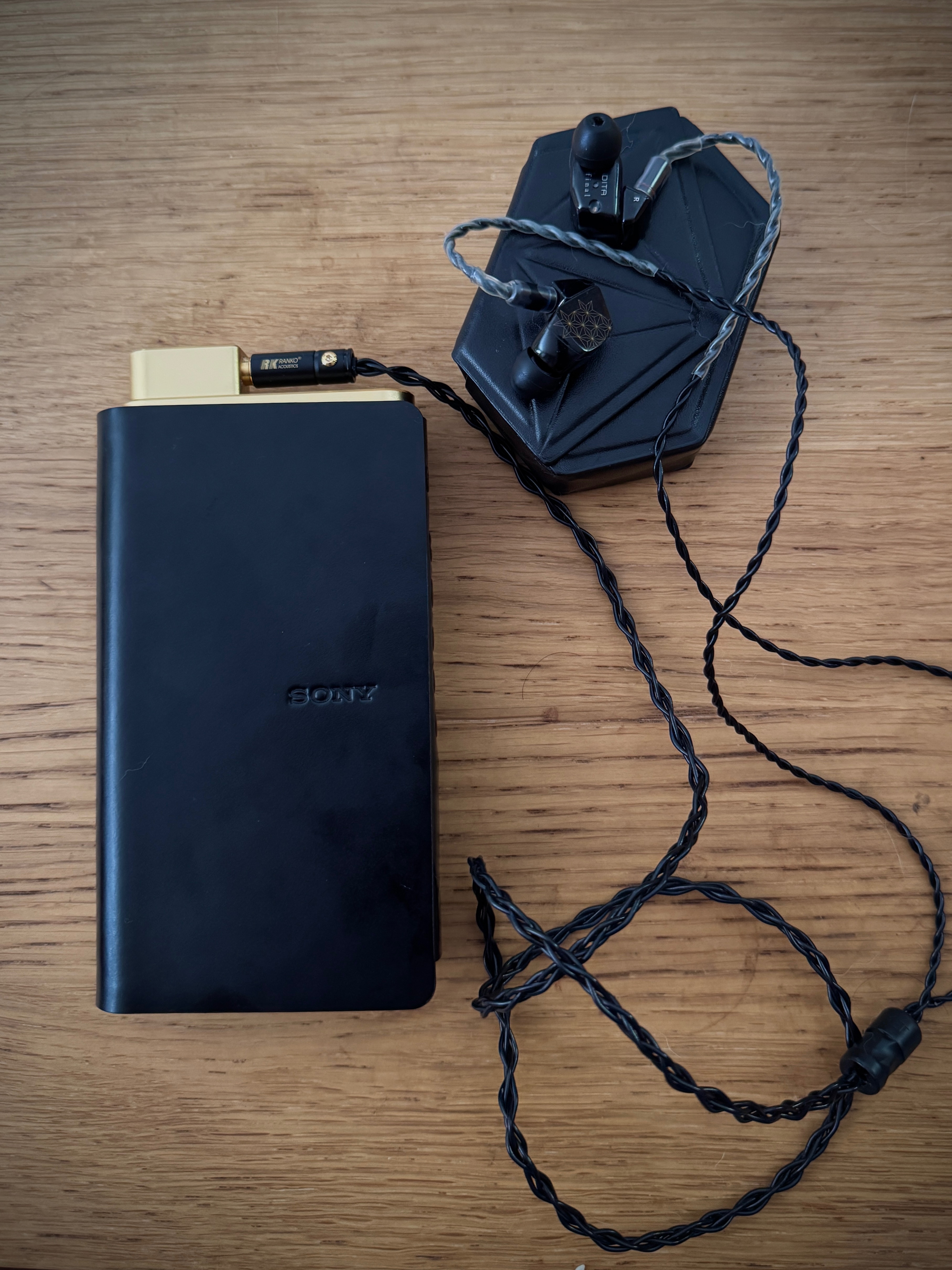 NW-WM1A② Sony NW-WM1A vs NW-ZX100 - comparison: Features · Connection