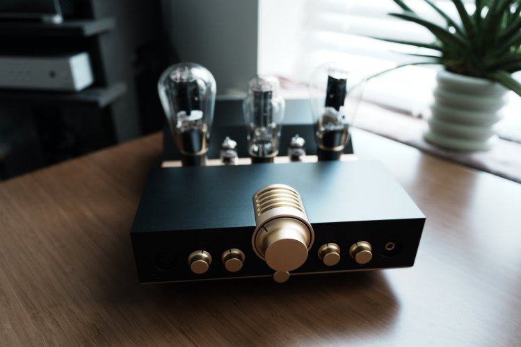 Closed: Woo Audio WA23 Luna + Upgraded Tubes | Headphone Reviews and ...