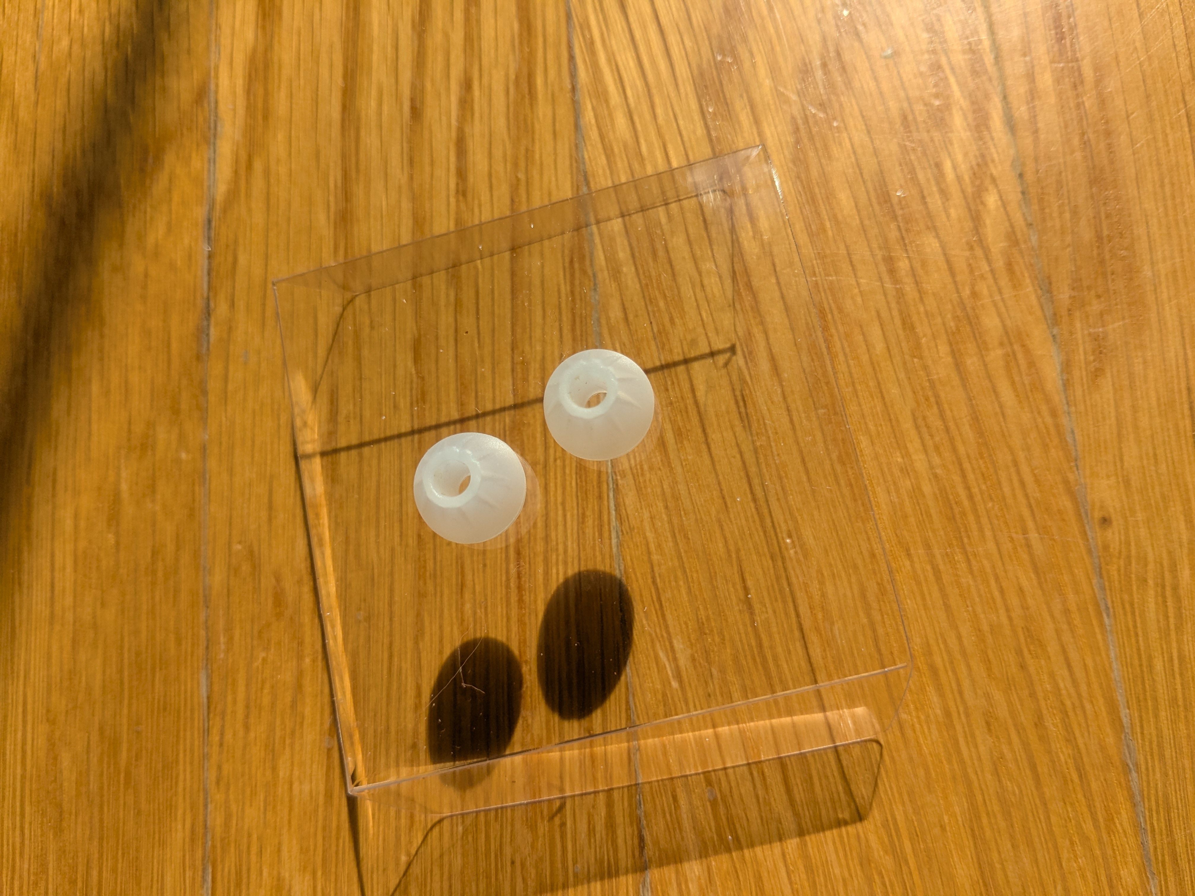 Ear tips.jpg