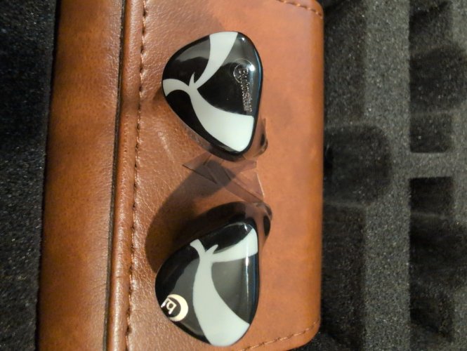 Night oblivion Used Price | HifiZero