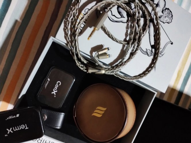 Chiron nova 中古価格 | HifiZero