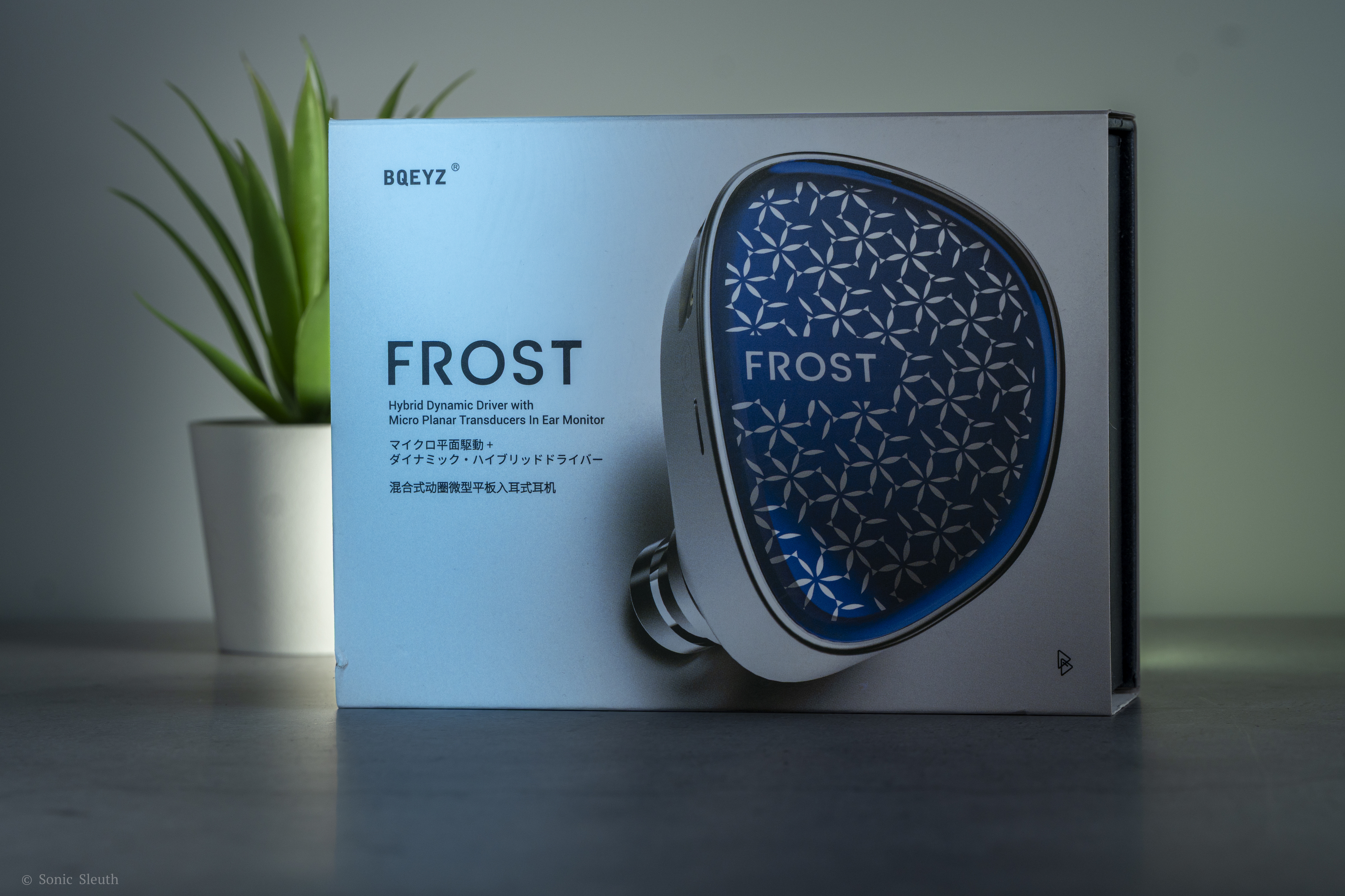 Frost-09.jpg Frost-09.jpg