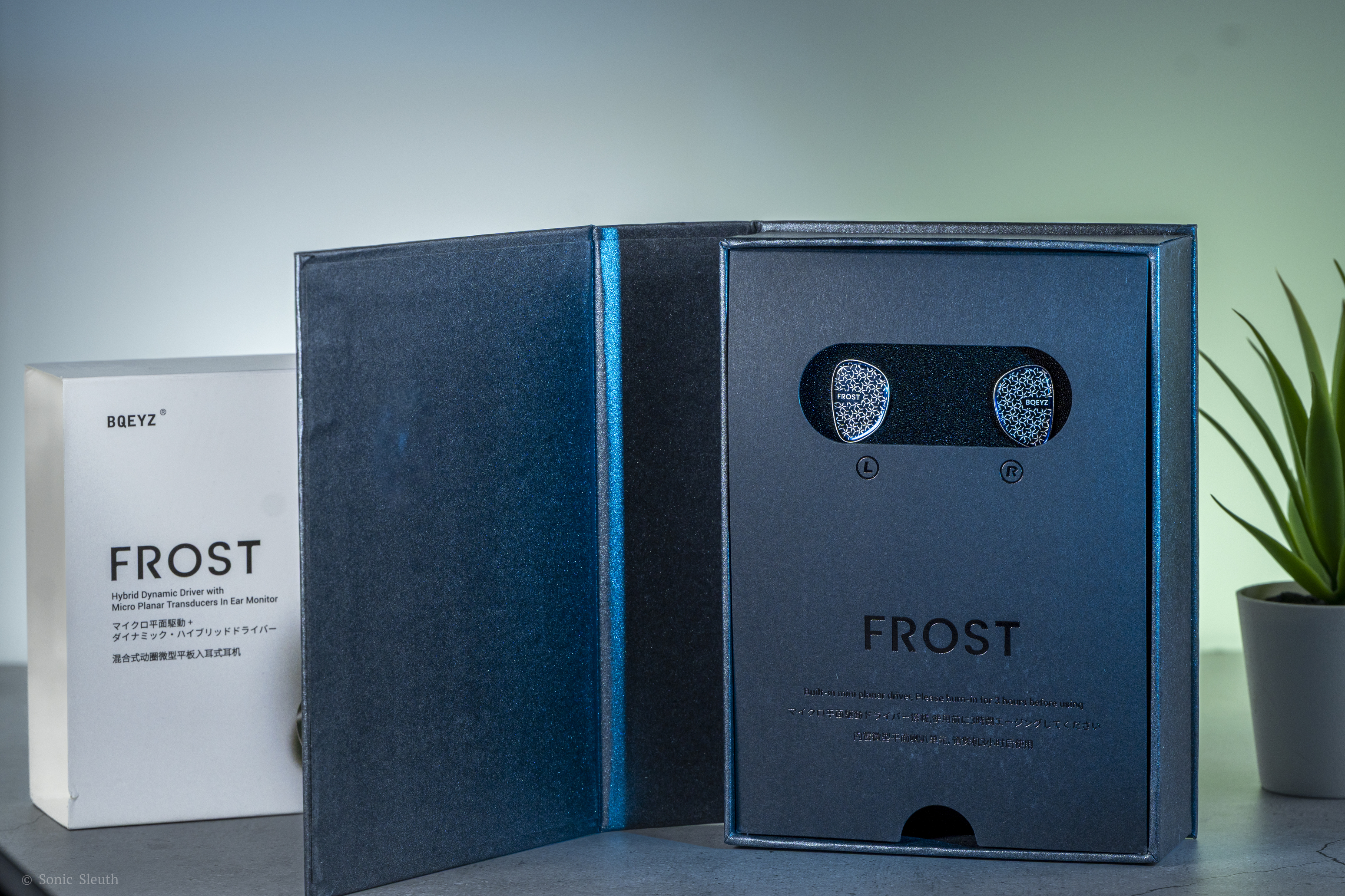 Frost-13.jpg Frost-13.jpg