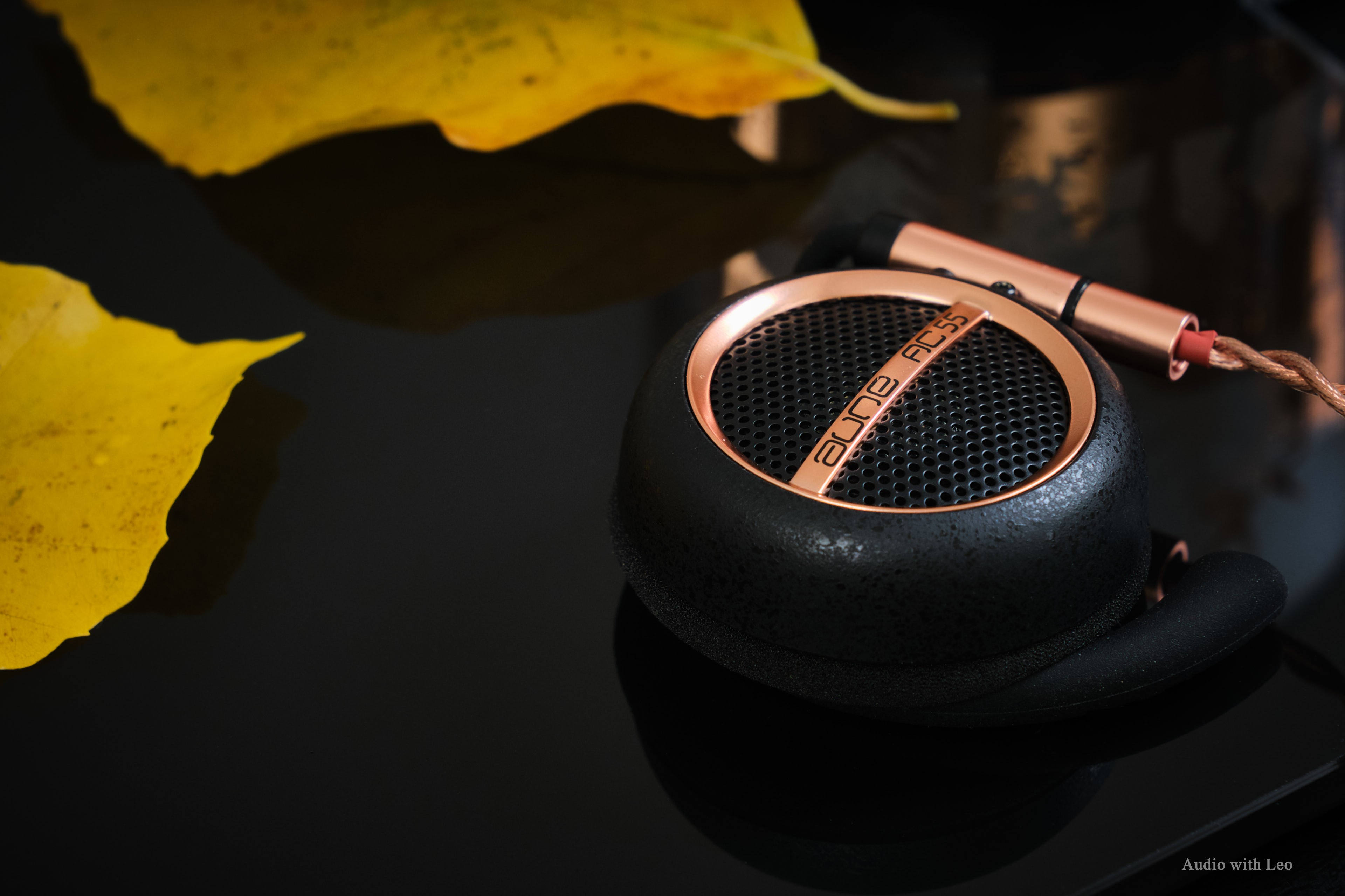 AUNE AC55 | Headphone Reviews and Discussion - Head-Fi.org