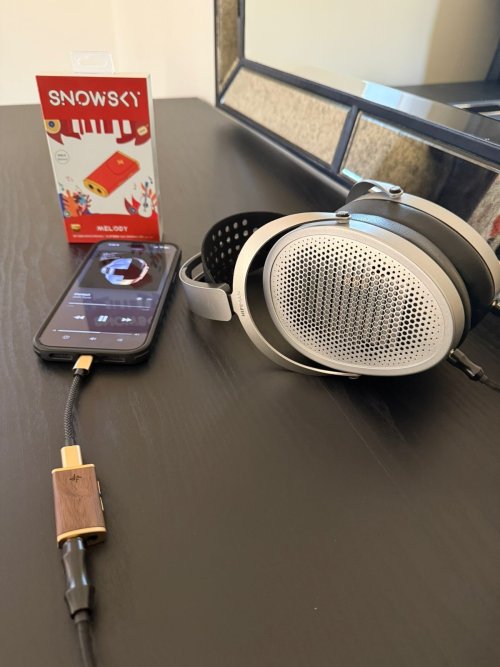 Show us your Head-Fi station at it's current state. No old pictures ...