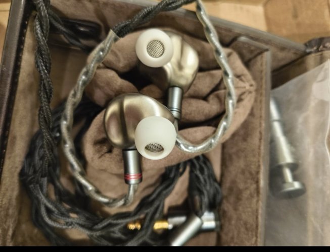 traillii 中古価格 | HifiZero