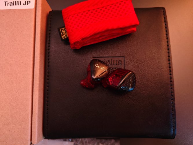 Oriolus Traillii Used Price | HifiZero